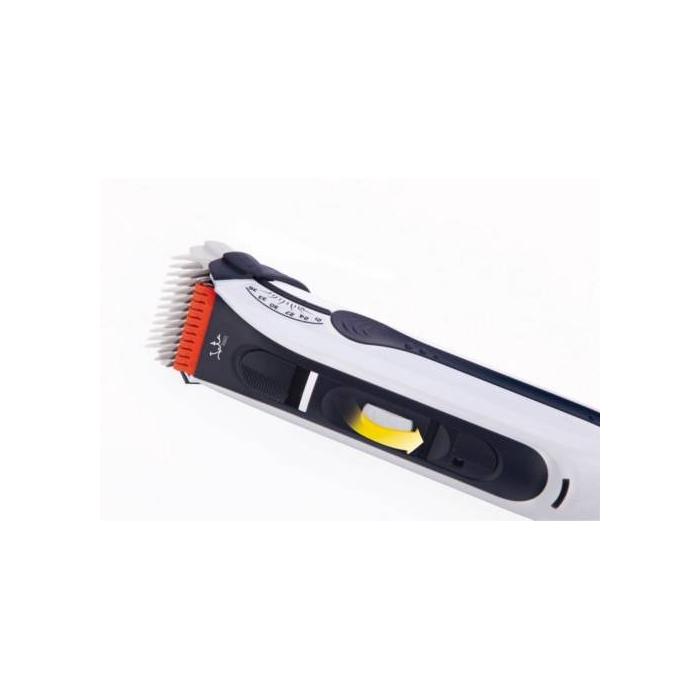 Product 5 image