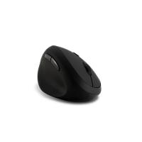 Product 7 image
