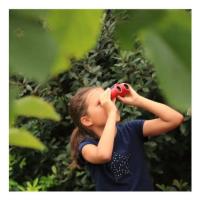 Product 20 image