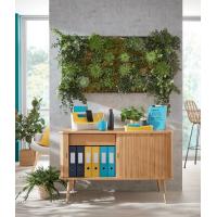 Product 6 image