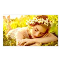 LG 43UL5Q-E Signage Display Digital signage flat panel 109.2 cm (43'') LED Wi-Fi 350 cd/m² 4K Ultra HD Black WebOS 24/7, view image 10 of 18