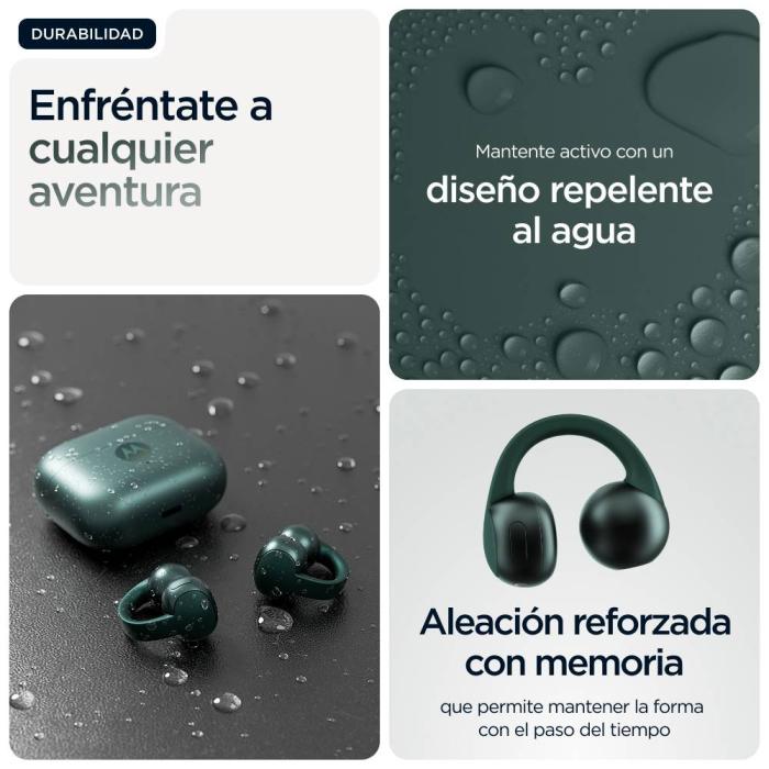 Product 16 image