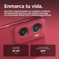 Product 31 image