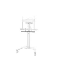 Product 16 image