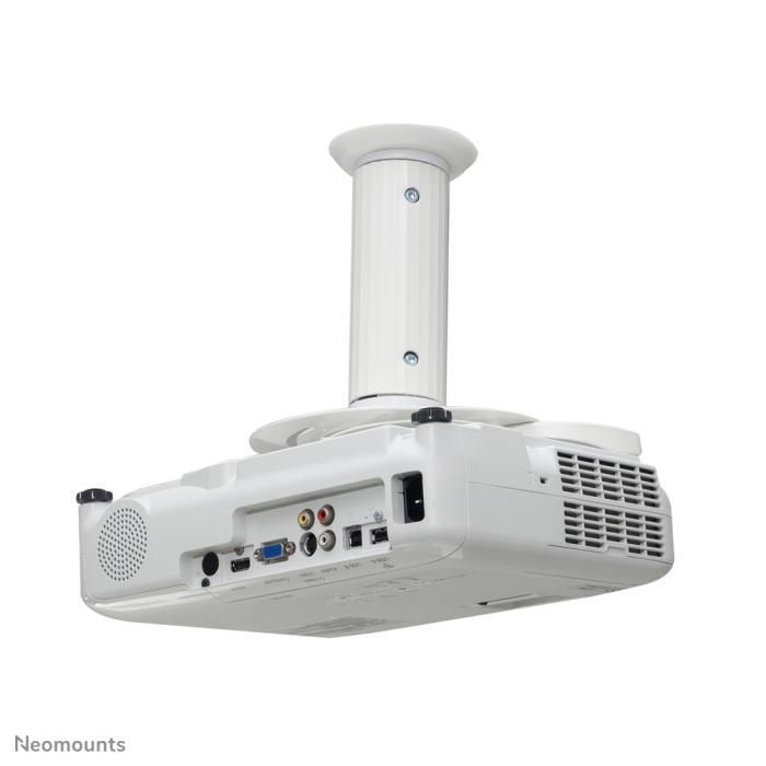 Product 6 image