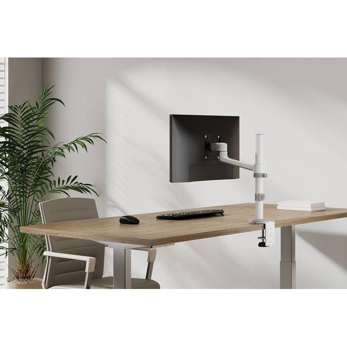 Product 19 image
