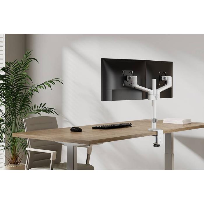 Product 19 image