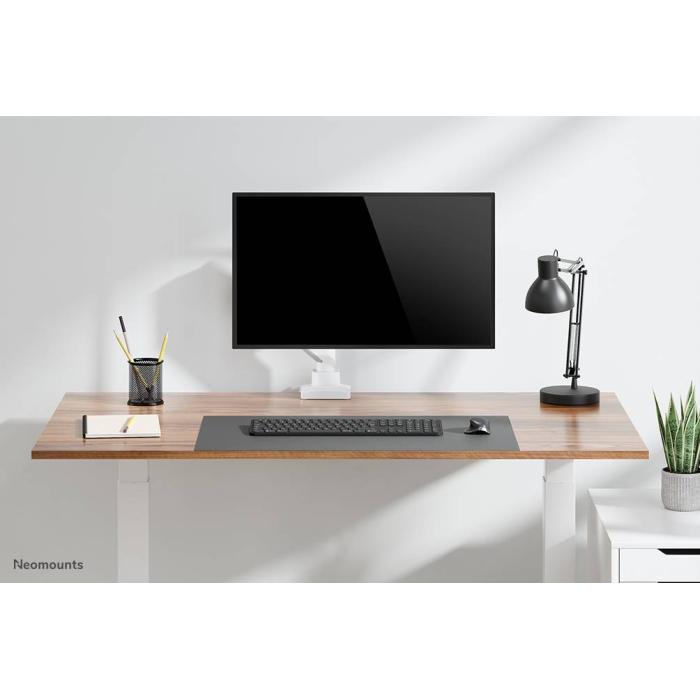 Product 16 image
