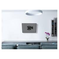 Product 16 image