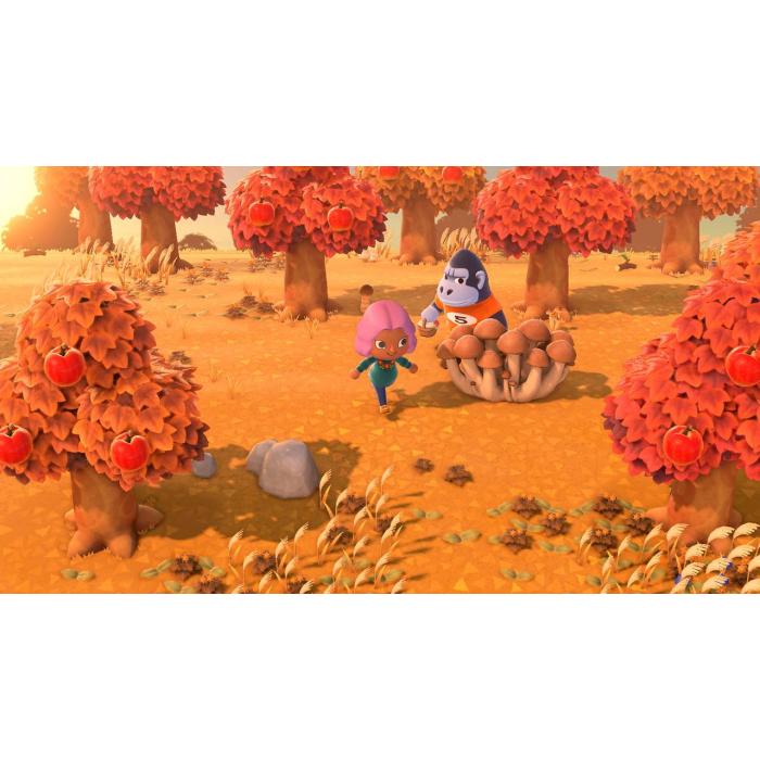 Product 19 image