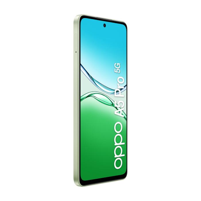 Product 6 image