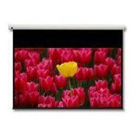 Optoma Panoview 16:9 106'' 106'' 16:9 projection screen