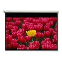 Optoma Pantalla 16:9 2656 x 1494mm 120'' 16:9 projection screen