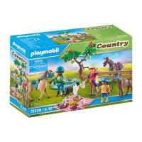 Playmobil Country 71239 building toy