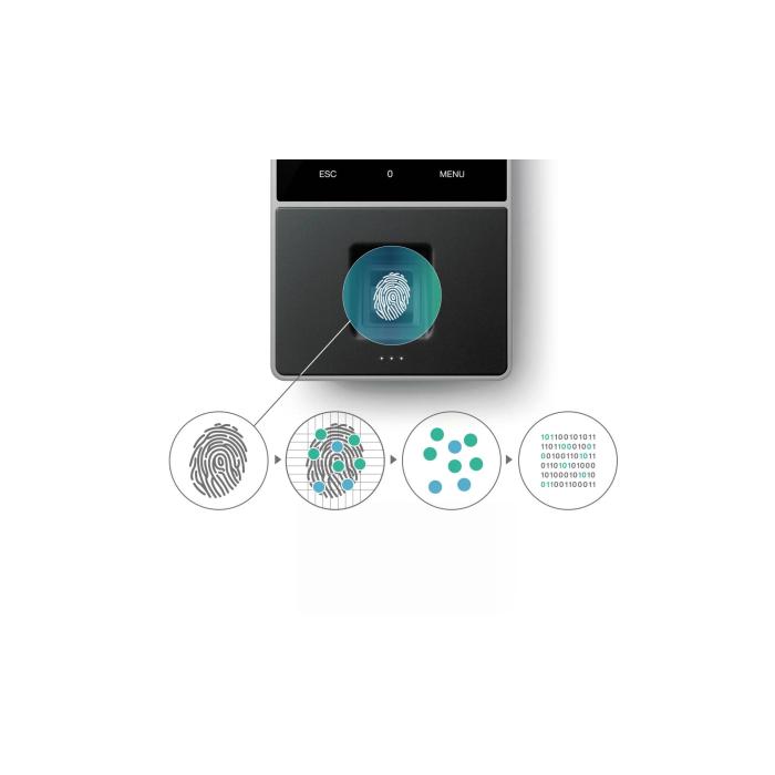 Product 7 image