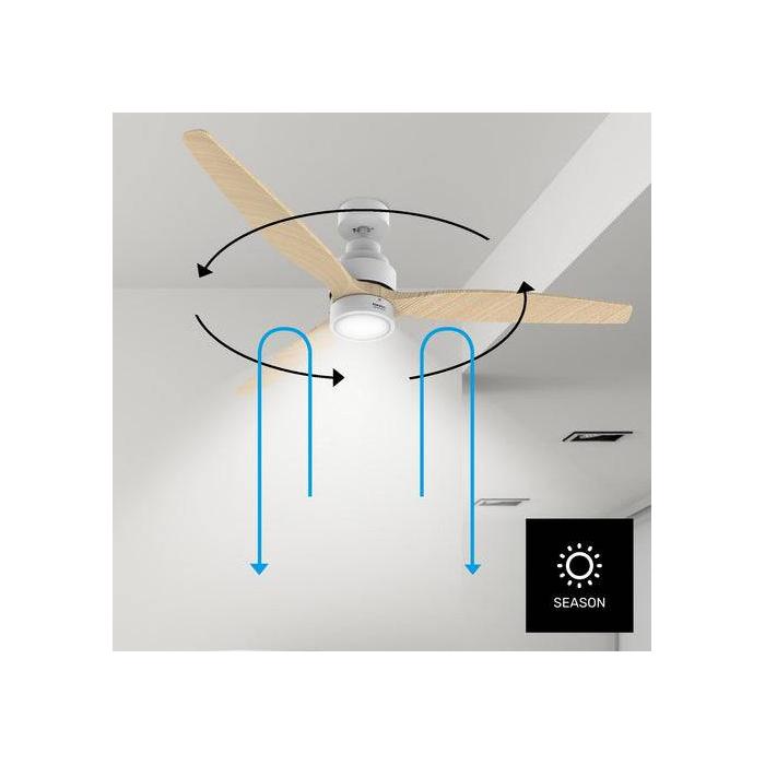 Product 4 image