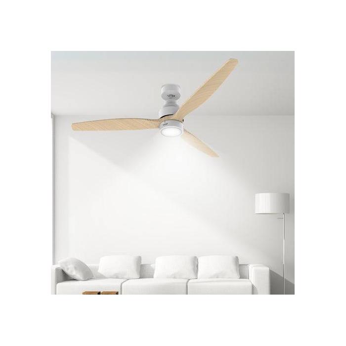 Product 12 image