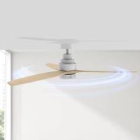 Product 6 image