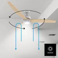 Product 4 image