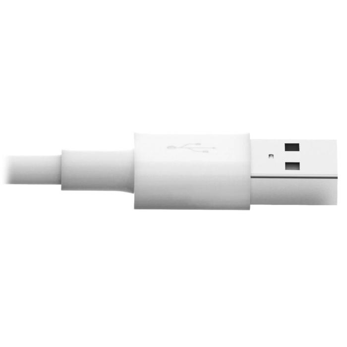Product 4 image