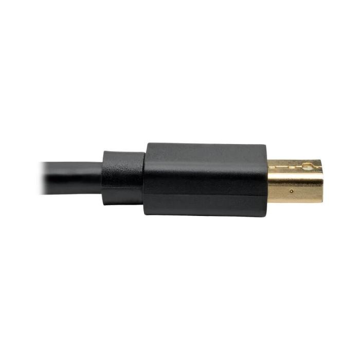 Product 6 image