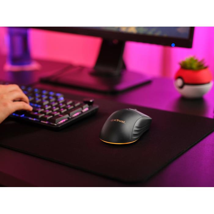 Product 12 image