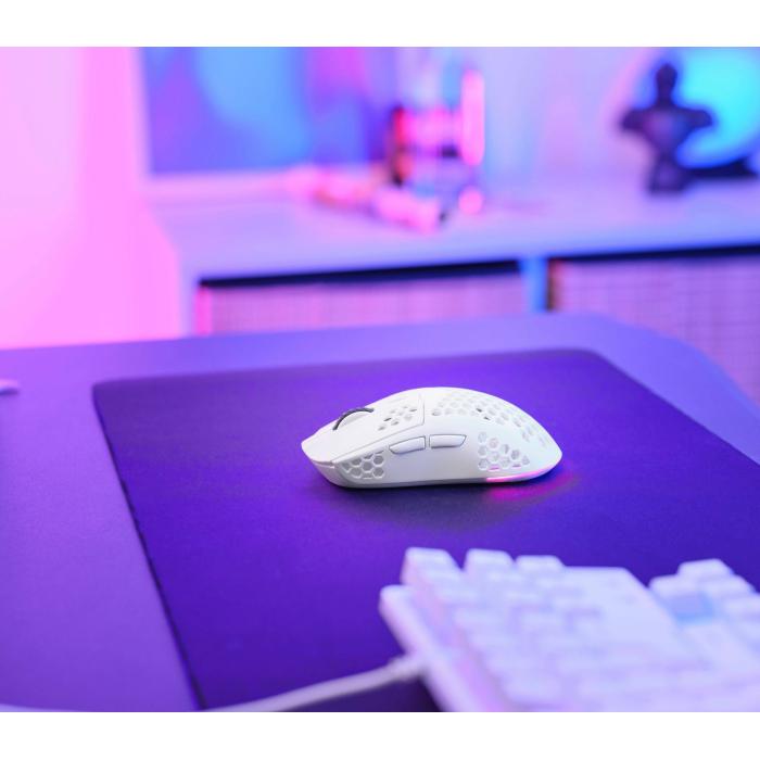 Product 16 image