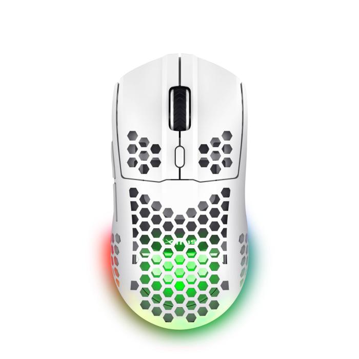 Product 4 image