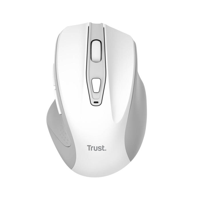 Product 4 image