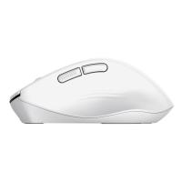 Product 12 image