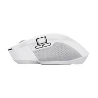 Product 5 image