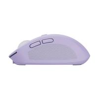 Product 4 image