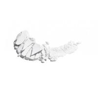 Product 2 image