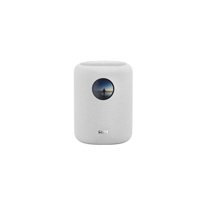 WiiM Sound 2-way White Wired & Wireless 100 W
