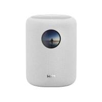 WiiM Sound 2-way White Wired & Wireless 100 W
