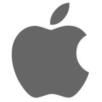 Apple SMART FOLIO IPAD 10TH GEN LEMONADE-