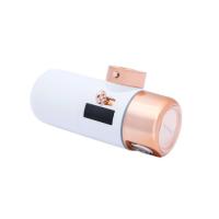 Aquabeba FILTRO GRIFO AQUAFILTER Sistema de filtración de agua conectado directamente al grifo Oro rosa, Blanco