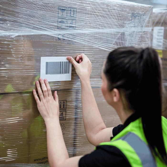 Imagen 6 del producto