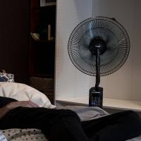 Imagen 11 del producto