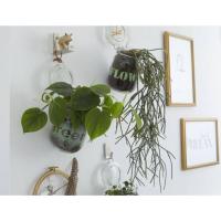 Imagen 5 del producto