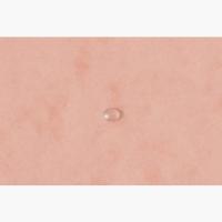 Imagen 6 del producto