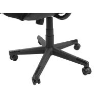 Imagen 10 del producto