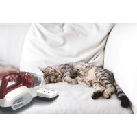 Imagen 20 del producto