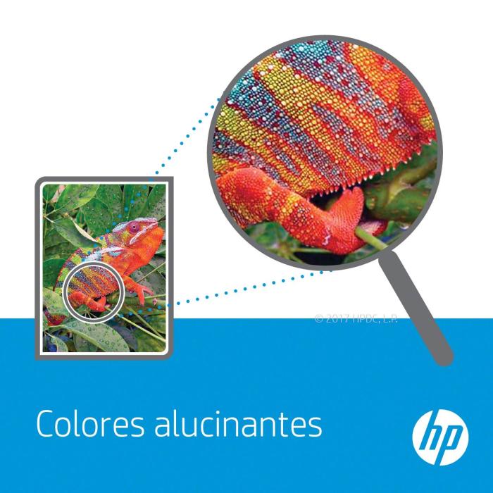 Imagen 8 del producto