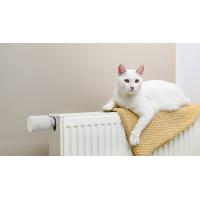 Imagen 25 del producto