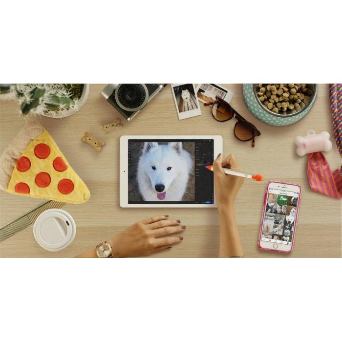 Imagen 18 del producto