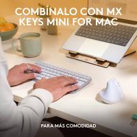 Imagen 10 del producto