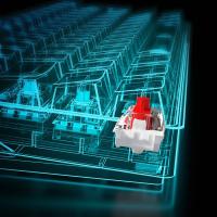 Imagen 5 del producto