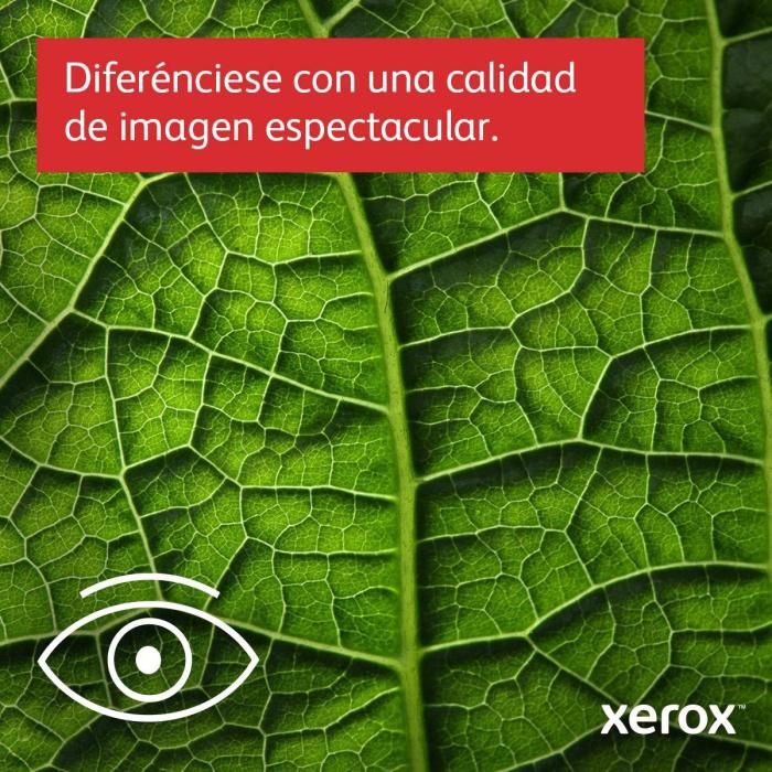 Imagen 11 del producto