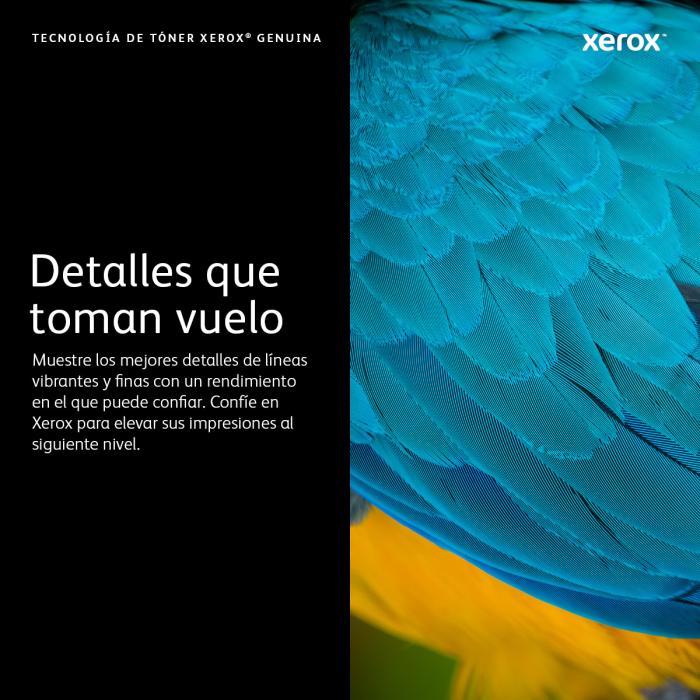 Imagen 3 del producto